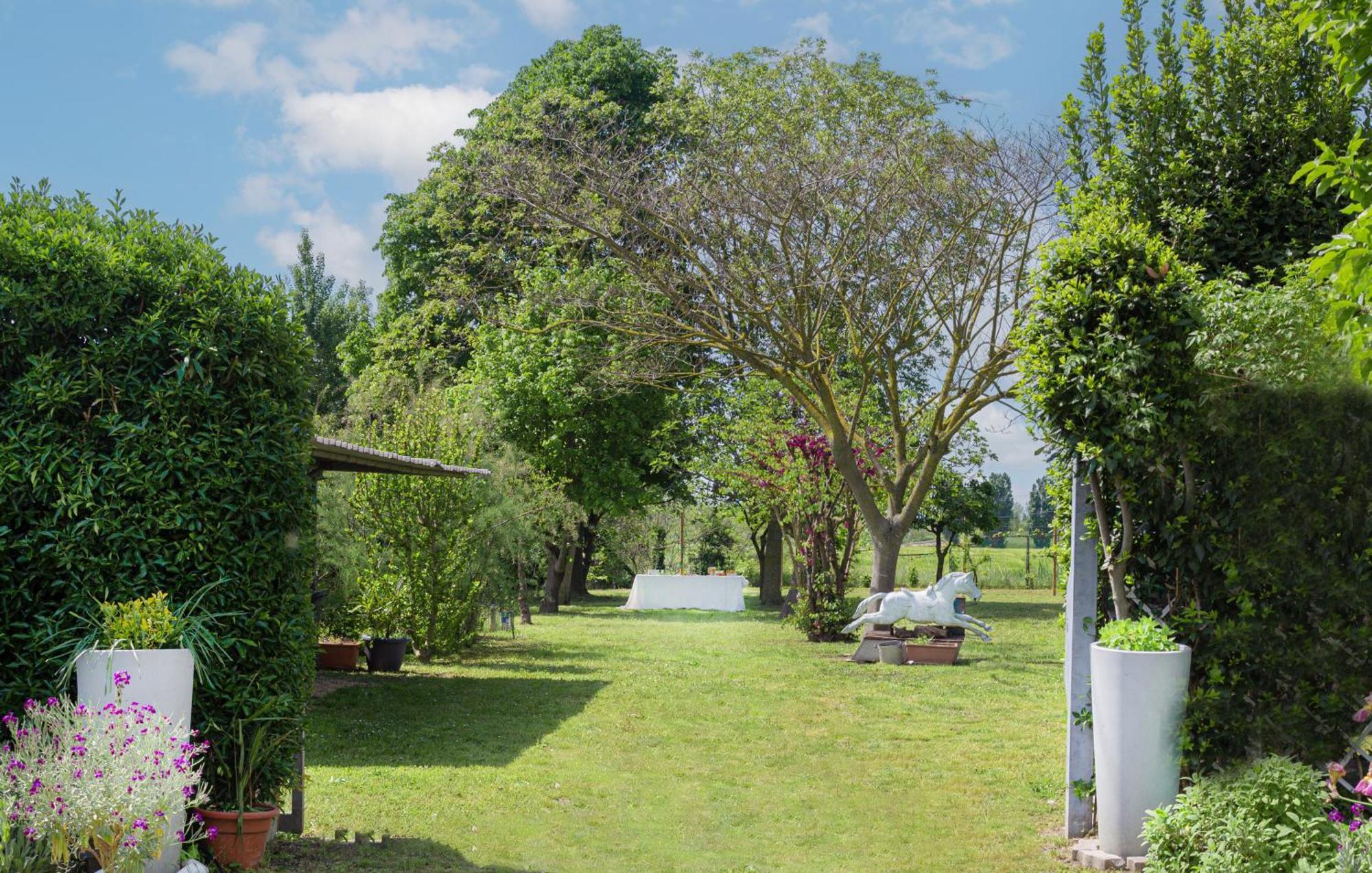 Balabuska Rooms & Garden Codevigo Ngoại thất bức ảnh